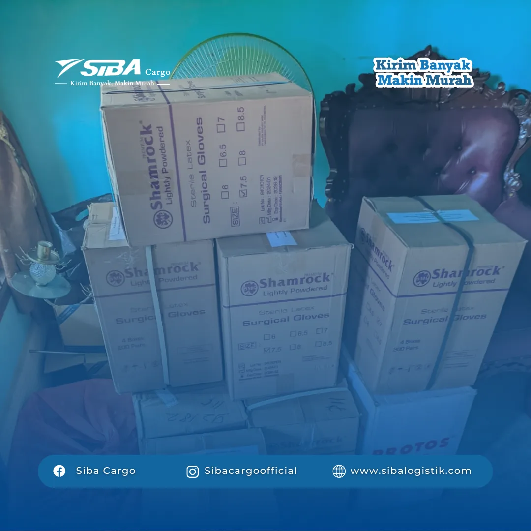 Ekspedisi Cargo Pindahan Batam Tanjung Balai Karimun