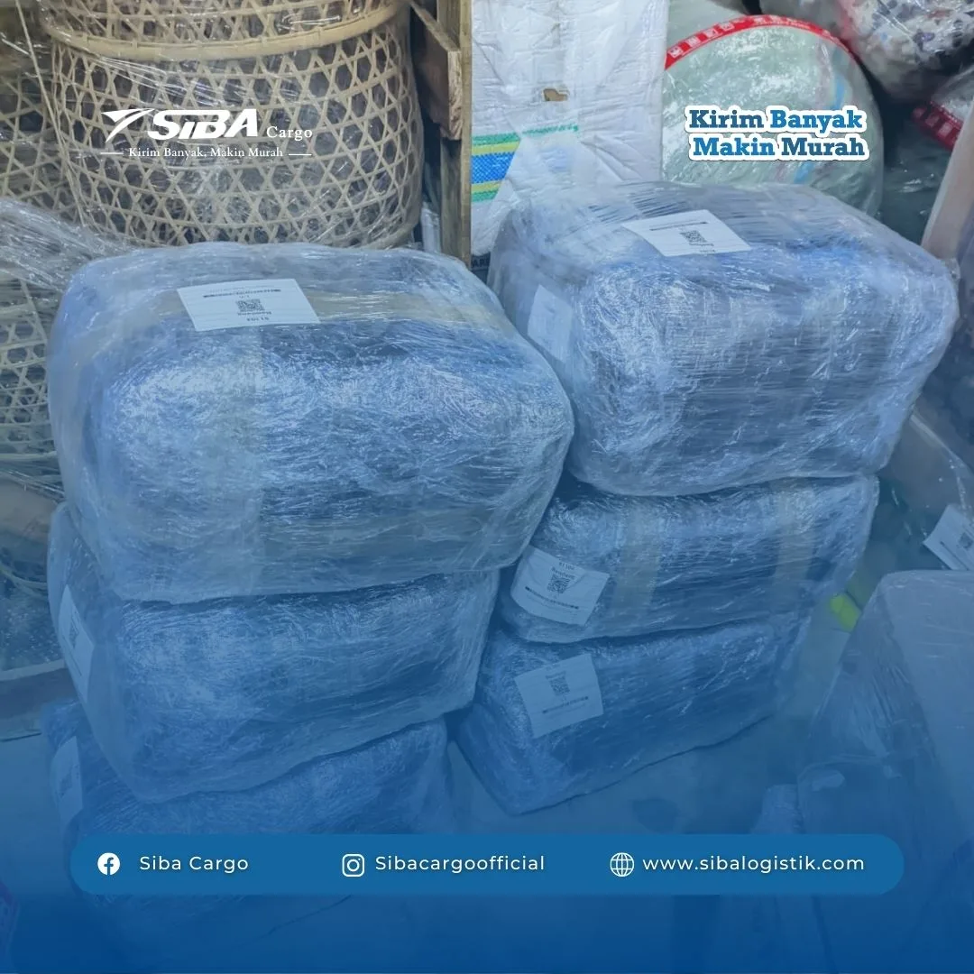 Jasa Pindahan Tanjung Pinang ke Jayapura Manokwari Sorong