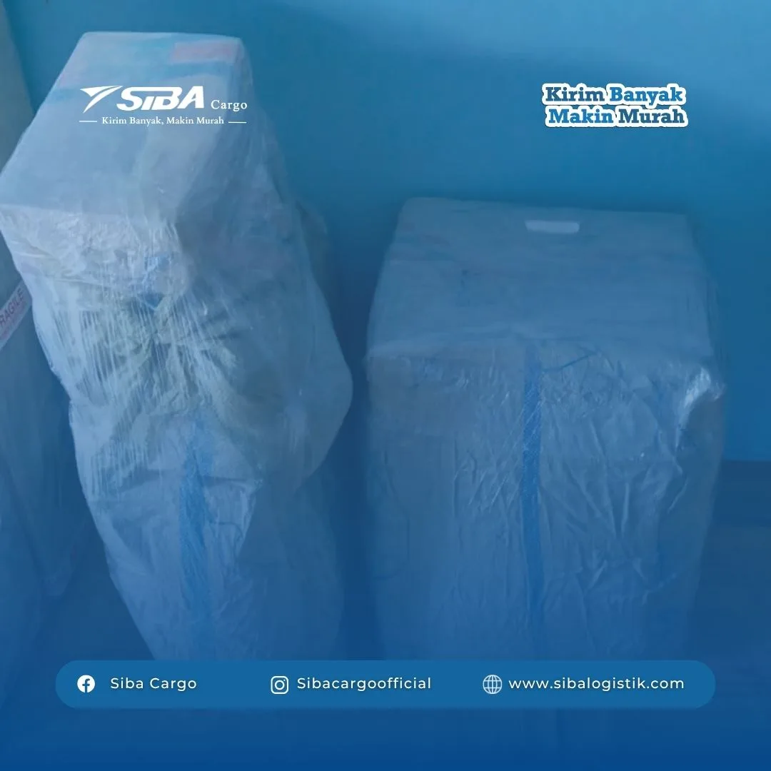Jasa Cargo Tanjung Pinang ke Losarang Losari