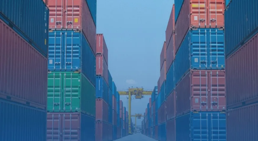 Peran dan Manfaat CFS Container Freight Station dalam Logistik