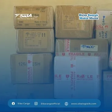 Jasa Ekspedisi Cargo Batam ke Pamulang dan Ciputat