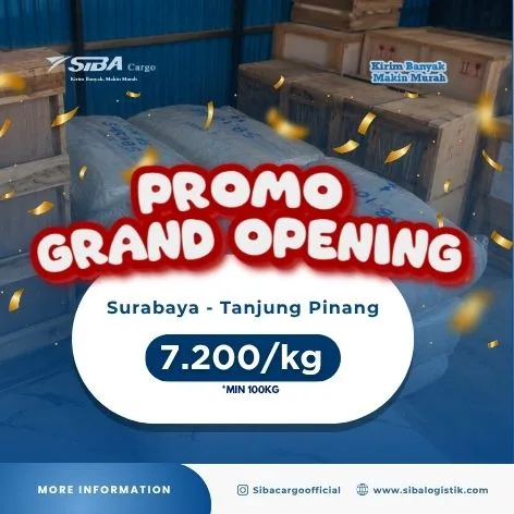 Ekspedisi Cargo Sidoarjo ke Tanjung Pinang Murah 7.200kg