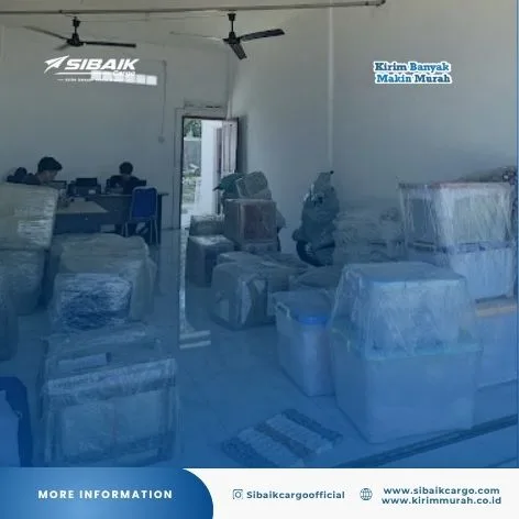 Ekspedisi Pengiriman Cargo Tanjung Pinang ke Bogor