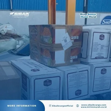 Ekspedisi Pengiriman Pekanbaru Riau ke Probolinggo